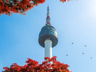 Tickets to N Seoul Tower Observatory — gallery 1
