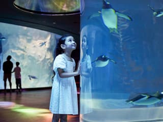 Bird Paradise Tickets | Mandai Wildlife Reserve — gallery 3