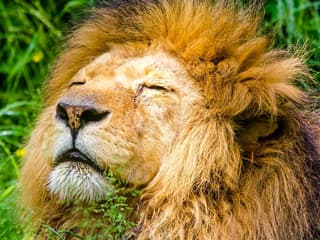 Krakow Zoo Entrance Tickets with Hotel Transfers — gallery 1