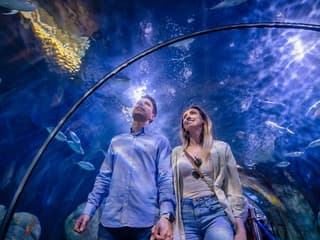 Combo: Oceanogràfic + Science Museum + Hemisfèric Tickets — gallery 1