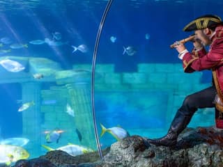 SEA LIFE Porto: Entry Ticket — gallery 3