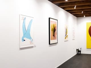 MACA Museum: Entry Ticket — gallery 2