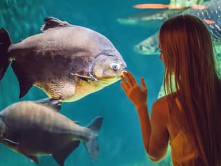 Barcelona Aquarium Skip-the-Line Tickets — gallery 2