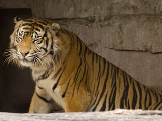 Barcelona Zoo: Skip The Line Ticket — gallery 2