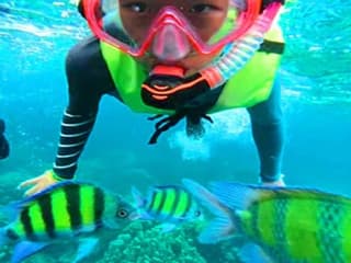 Krabi: One Day 4-Islands Hopping Snorkelling Tour by Longtail Boat or Speed Boat — gallery 1