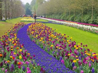 Keukenhof: Entry Ticket — gallery 2