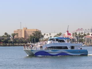 Long Beach: Whale and Dolphin Watching Cruise — gallery 2