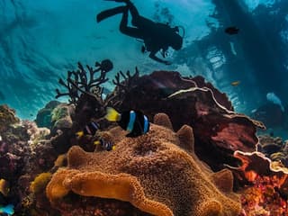 Hurghada : Plongée sous-marine guidée + Transferts + Déjeuner, Hourghada