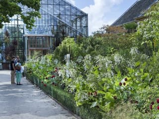 Hortus Botanicus Leiden: Sıra Beklemeden Giriş Bileti, Hortus Botanicus Leiden, Leiden