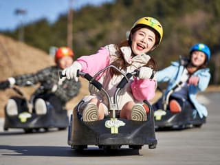 Skyline Luge Busan Tickets with Skyride Access — gallery 1