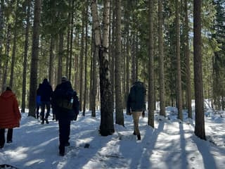National Park Hike & Smoke Sauna — gallery 1