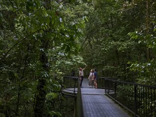 Cape Tribulation, Daintree & Mossman: Day Tour from Cairns and Port Douglas — gallery 2