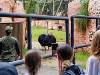 Bali Zoo Entry Tickets — gallery 2