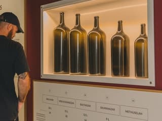 WOW Porto Wine School: Personalized Tasting + The Wine Experience Entry — gallery 2