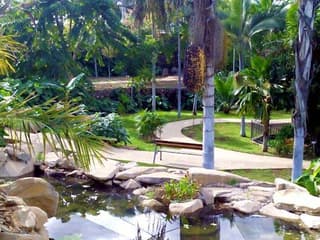 Palmetum of Santa Cruz de Tenerife: Entry Ticket — gallery 1
