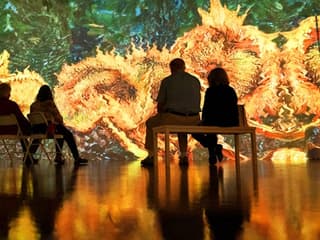 The New Immersive Van Gogh - The Next Chapter Las Vegas: Entry Ticket — gallery 2