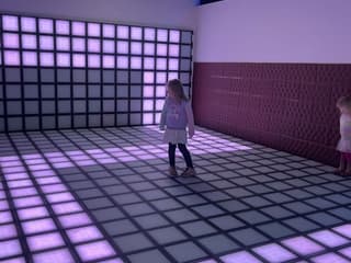 Metartworld Admission — gallery 1