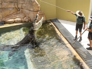 Family Saver Pack: Crocosaurus Cove Tickets — gallery 1