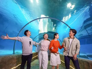 Ocean Park: 1-Day Pass + FasTrack Pro Tickets — gallery 1