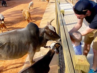 Gatorland Skip-the-Line Tickets — gallery 3