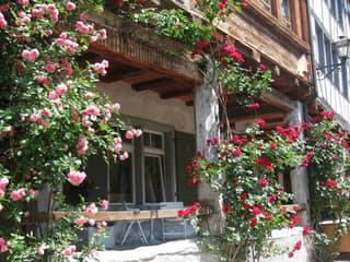 From Zurich: Day Trip to Heidiland & Liechtenstein — gallery 2