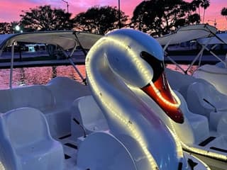 Long Beach: Swan Boat Rental at Rainbow Lagoon — gallery 3