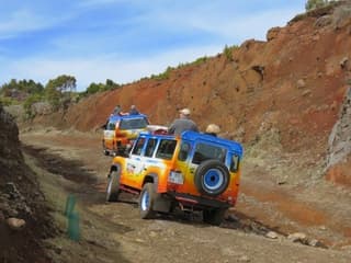 Enchanted Terraces: Guided Madeira Excursion — gallery 2