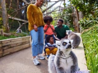 London: Family Pass — gallery 3