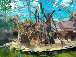 Prague Zoo Tickets — gallery 2