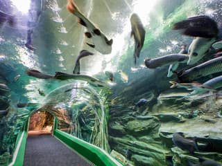 Combo (Save 26%): Lotte World + Seoul Sky Observatory Tickets — gallery 3