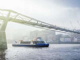 Thames Sightseeing Cruise with Flexible Time and Departure Pier — gallery 1