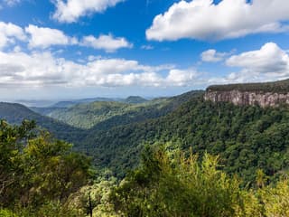 Natural Bridge & Springbrook Waterfalls Tour — gallery 1