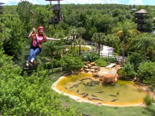 Gatorland Tickets with Screamin’ Gator Zip Line Access — gallery 1