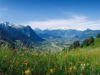 From Zurich: Day Trip to Heidiland & Liechtenstein — gallery 3