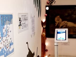 Cat Museum Budapest: Entry Ticket + Audio Guide — gallery 2