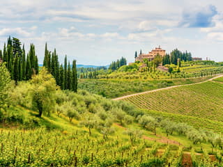 From Florence: Chianti Wine Tasting Tour — gallery 2