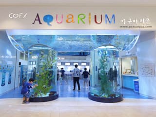 SEA LIFE COEX, Seoul Aquarium Tickets — gallery 2