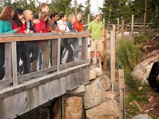 Grouse Mountain & Capilano Suspension Bridge Park: Guided Tour — gallery 3