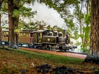 From Melbourne: Puffing Billy Train Ride & Phillip Island Guided Tour — gallery 1