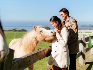 Phillip Island 3 Parks Pass: Penguin Parade, Koala Conservation Reserve & Churchill Island — gallery 1