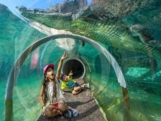 Billetter til Zoo Miami: Grupper på 4 og flere, Zoo Miami, Miami