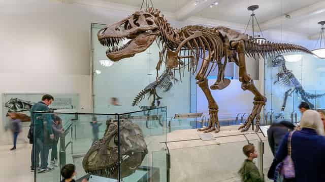 Amerikan Doğa Tarihi Müzesi Biletleri | American Museum of Natural
