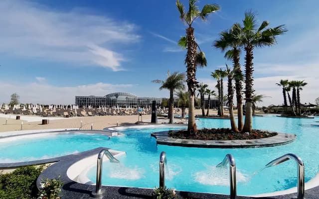 Therme Bucharest outdoor thermal pools with palm trees on a central island under a blue sky