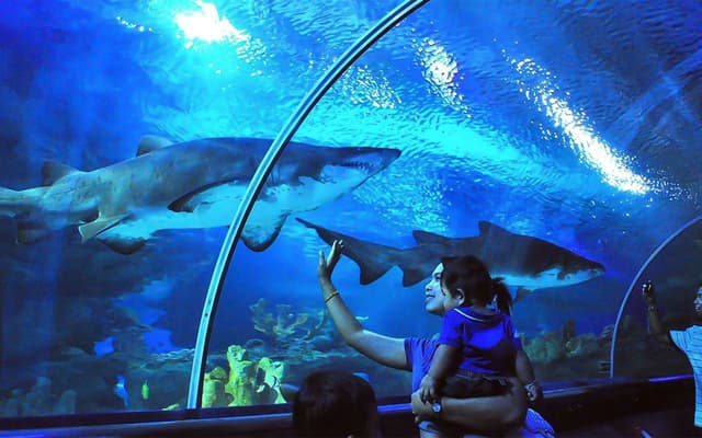 Parent and child watching sharks glide overhead in the aquarium tunnel at Aquaria KLCC, Kuala Lumpur