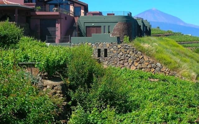 Hillside village and terraced vineyards with snow-capped Mount Teide volcano behind in Tenerife