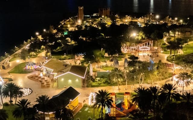Aerial night view of a Sharjah waterfront park with palms and the lit city skyline