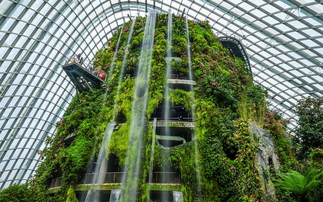 Indoor waterfall and lush green walls inside Singapore's Cloud Forest dome at Gardens by the Bay