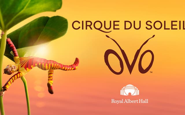 Cirque du Soliel OVO at London's Royal Albert Hall