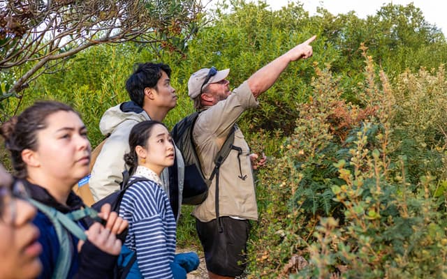 Guide pointing out native bushland to walkers on a Tasmania nature tour