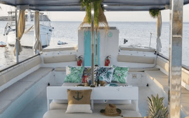 Covered Ibiza boat deck with tropical cushions and a fresh pineapple platter by the sea